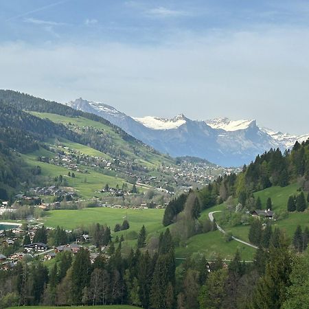 Chalet Saint Victor, Praz Sur Arly Luaran gambar
