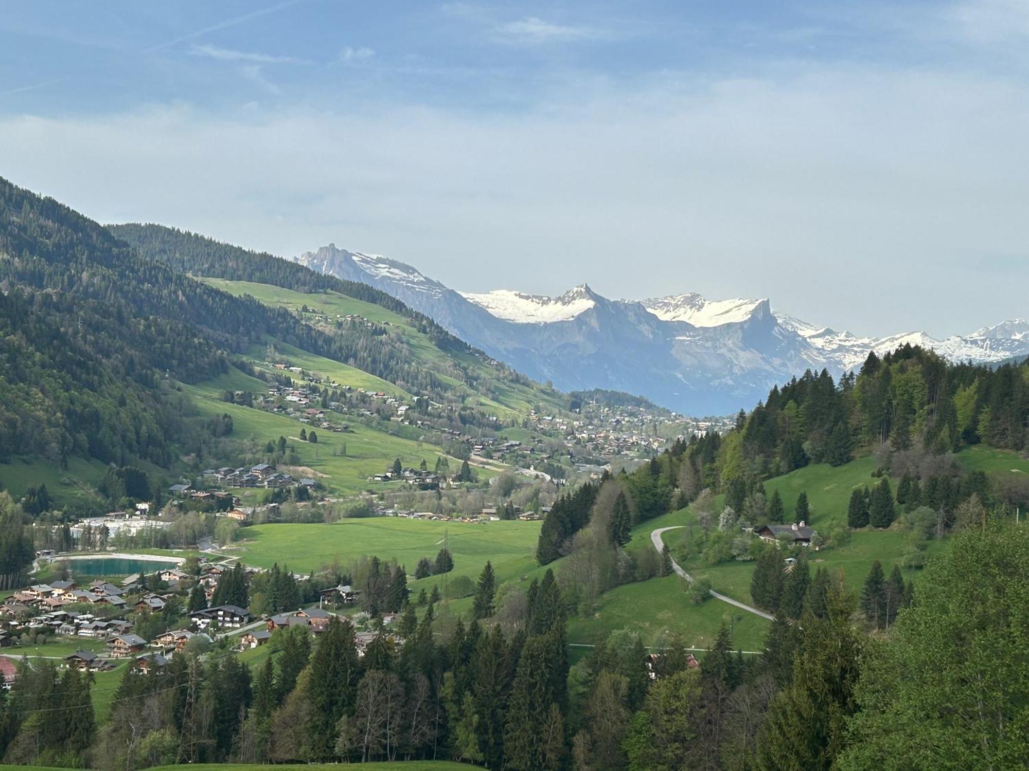 Chalet Saint Victor, Praz Sur Arly Luaran gambar
